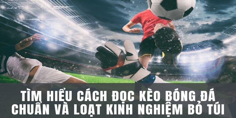 Cách Đọc Kèo Bóng Đá - Cập Nhật Cách Bắt Kèo Tại RR88