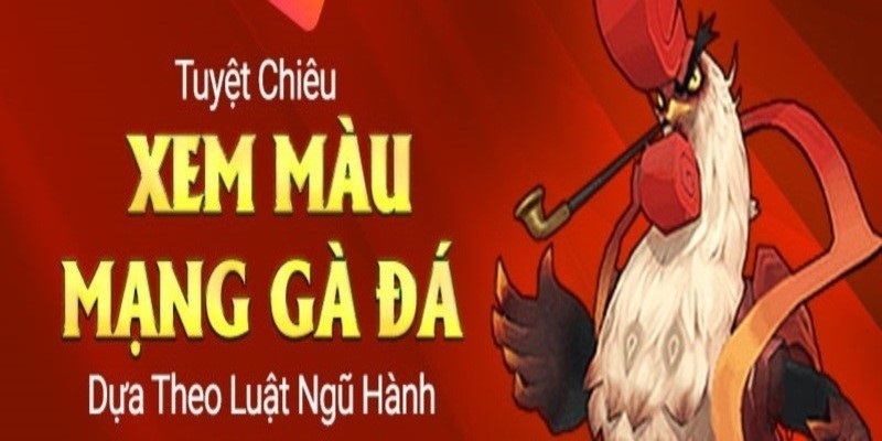 Màu mạng gà đá là gì? Mệnh gà là gì?