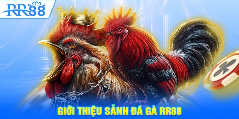 Theo dõi nhiều trận đấu thú vị tại nhà cái